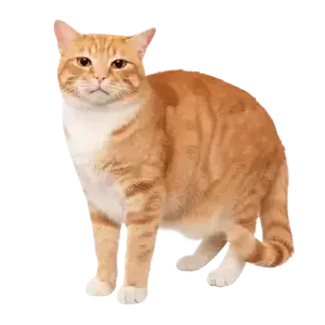 デスクトップで動くペット